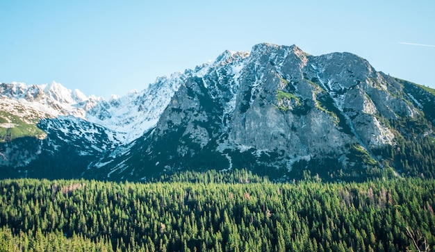 Photo awesome sunny day. hiking trail near famous lake popradske pleso. incredible mountains scenery,