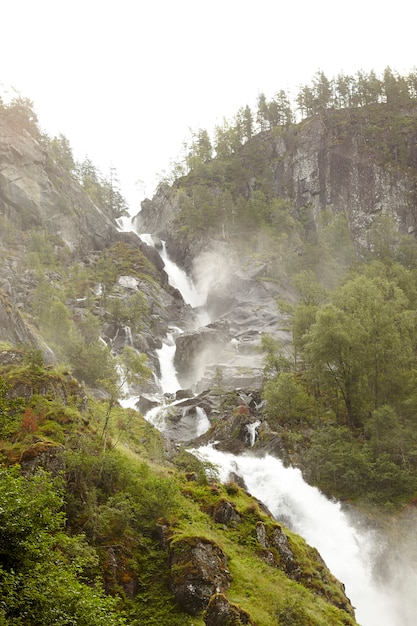 Awesome waterfall in a forest area