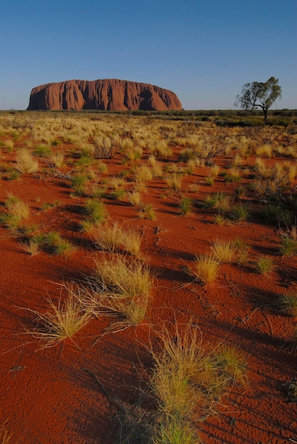 Photo ayers rock called uluru magic rock of the aboriginals yulara ayers rock northern territories