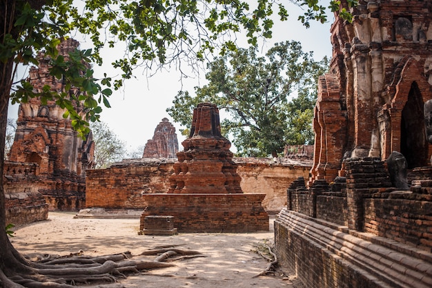 Photo ayutthaya temple ruins, wat maha that ayutthaya as a world heritage site, thailand.