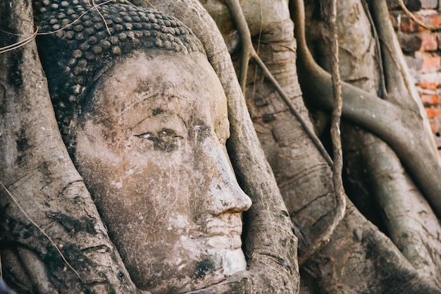 Ayutthaya. Thailand.