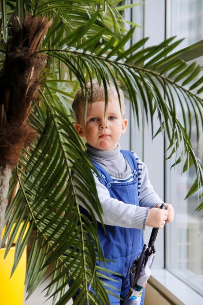 Baby in a blue jumpsuit behind a green tree near the window