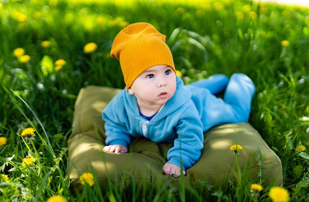 Baby boy on the dandelion meadow Child in field