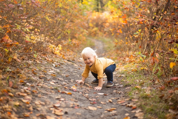 Baby boy playing in autumn forest background with golden and red trees