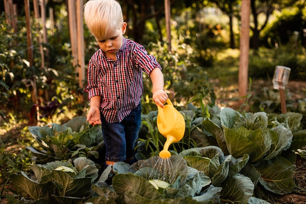 The baby boy waters the cabbage uses a watering can