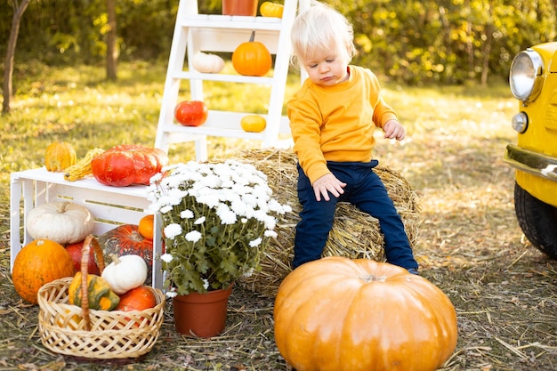 Baby boy with flowers and pumpkins in autumn park background with golden trees