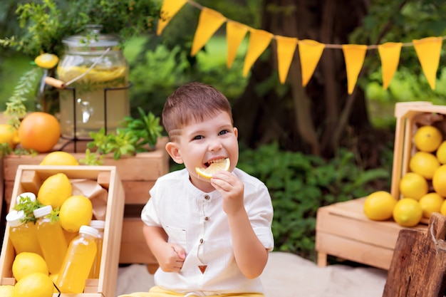 Baby eating lemons and drinking lemonade outdoors in summer at picnic