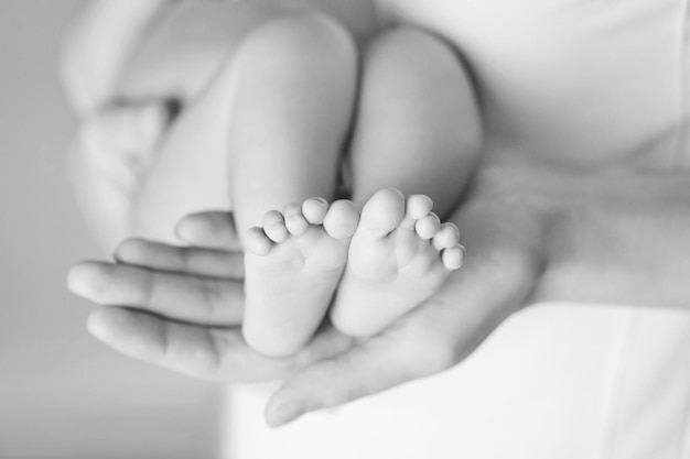 Baby feet in mother hands Tiny Newborn Baby's feet on female Shaped hands closeup Mom and her Child Happy Family concept Beautiful conceptual image of Maternity