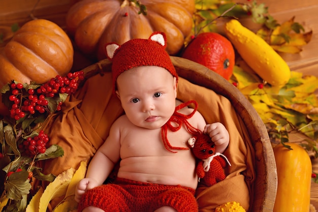 Baby girl fox in autumn decor with pumpkins, berries and leaves for thanksgiving or halloween