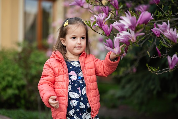 Baby girl in pink jacket enjoying nice spring day near magnolia blooming tree Springtime activities