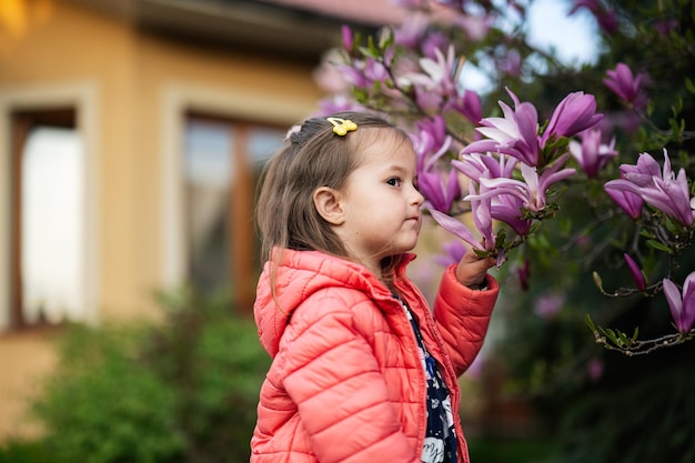 Baby girl in pink jacket enjoying nice spring day near magnolia blooming tree Springtime activities