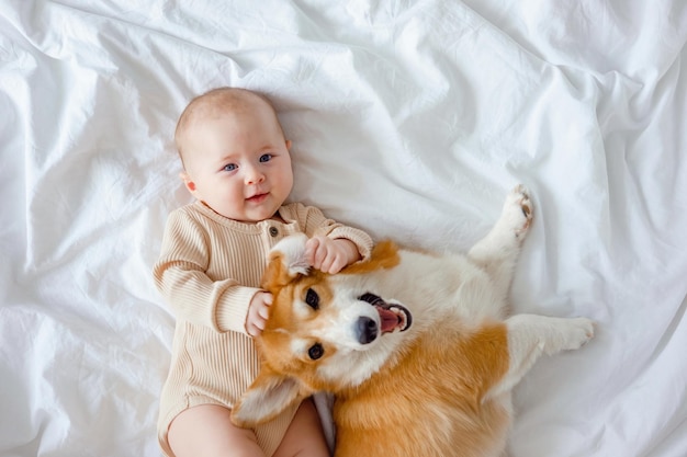 Baby holding dog's mazzle Fur allergy concept Pets are family members