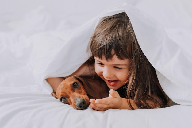 baby little girl hugs dachshund dog at home in bed. white bed linen. love for pets