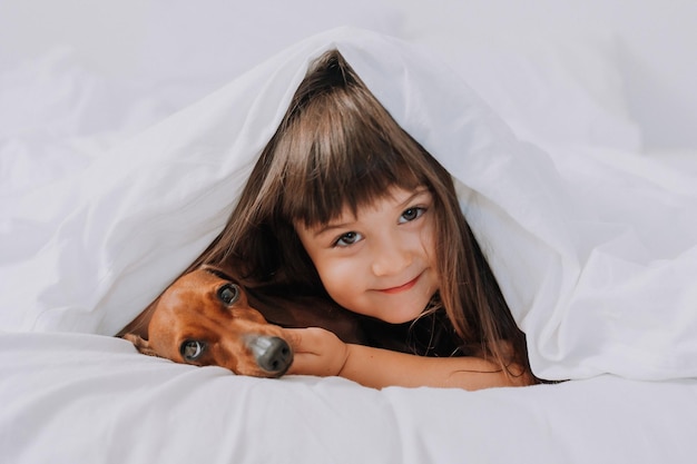 baby little girl hugs dachshund dog at home in bed. white bed linen. love for pets