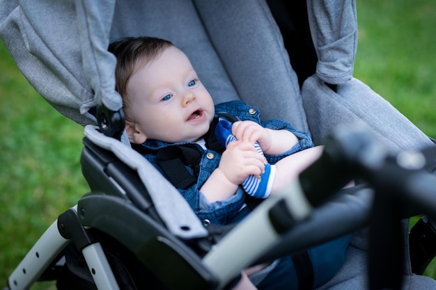 Baby in stroller on a walk in summer park Adorable little boy