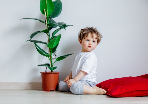 baby with green plant sitting on a floor near white wall