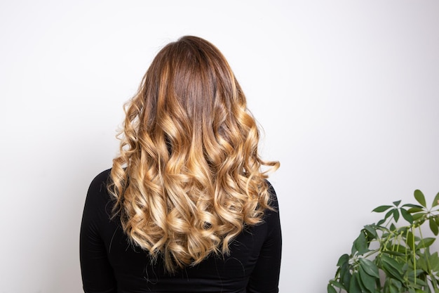 Back part of the hair of a young blond haired woman with balayage effect isolated on white background Hair care and nature concept