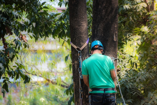 Back side of man on tree with helmet and belt carbinet ,outdoor activity sport.