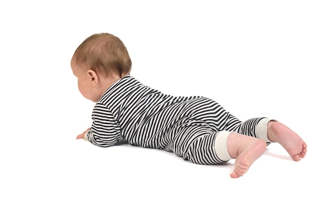 Back and side view of baby crawling on the floor on white background