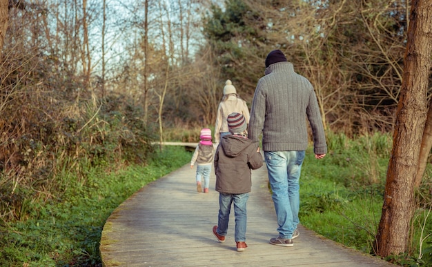 Back view of family walking together holding hands over a wooden pathway into the forest