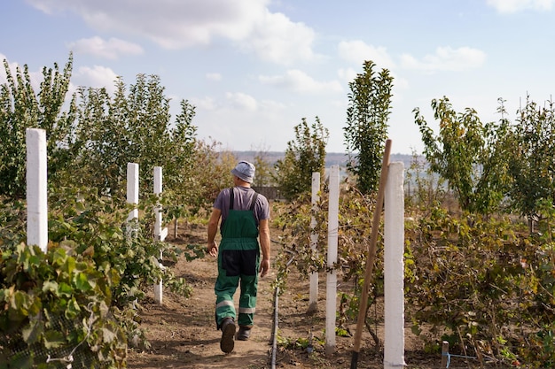 Back view of a farmer in motion walking through his garden with trees with sky and clouds on horizon