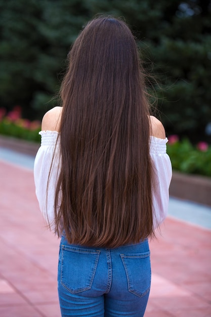 Back view female brunette hair