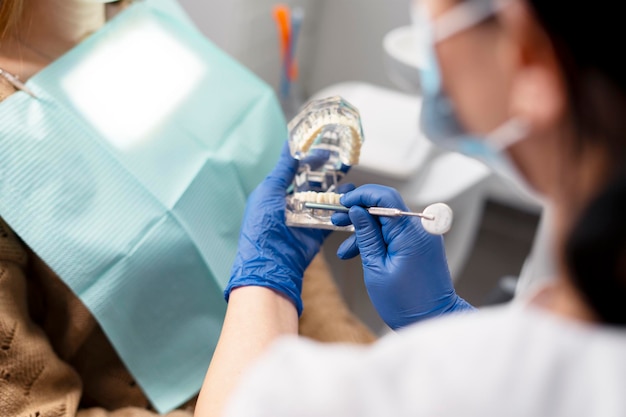 Back view female dentist holds an open jaw in his hands points to it with a dental instrument The orthodontist's work communication with the patient