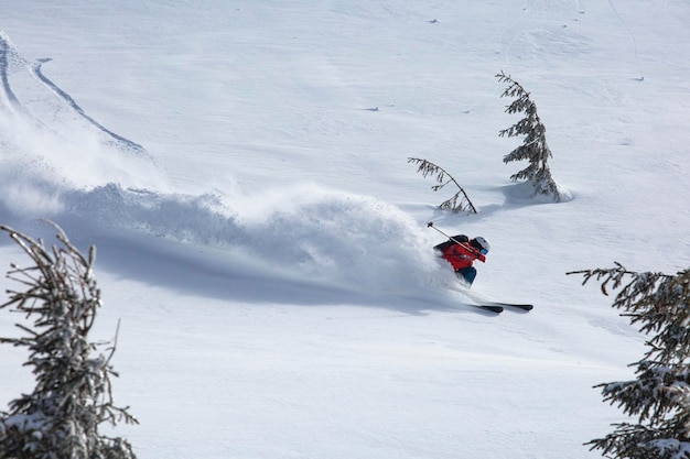 Backcountry skier gracefully carves through the untouched powder snow leaving behind a trail of white fluff in their wake