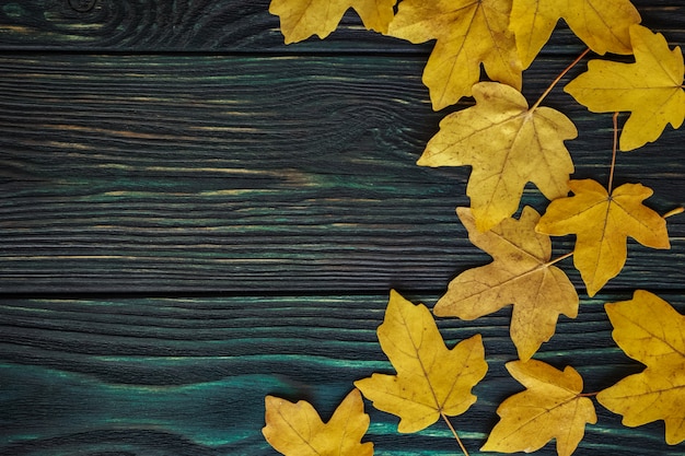 Background: autumn yellow maple leaves on an old textured plank. Top view