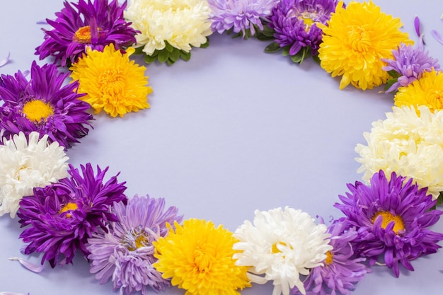 Background of beautiful asters on paper sheet