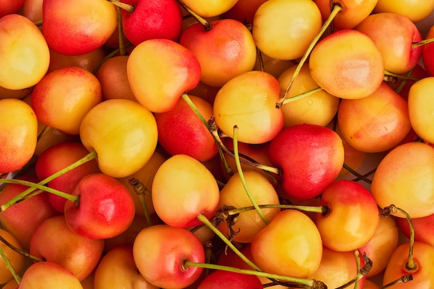 Background of berries ripe yellowred cherries close up