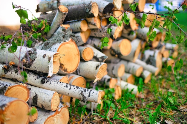 Background of birch chocks Alternative to gas heating Fuel for heating the house in winter Lots of firewood