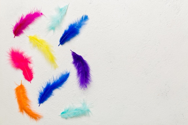 Background of brightly colored dyed bird feathers on Colored background top view Copy space