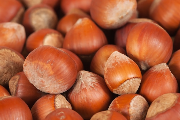 Background of brown hazelnuts