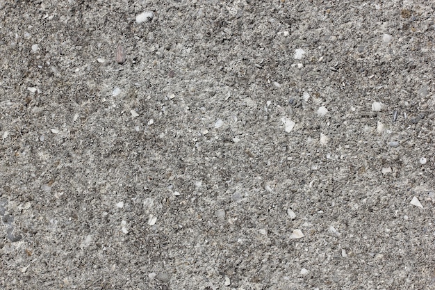 Background cement coarse grey, with patches of gravel and sea shells, homogeneous structure.