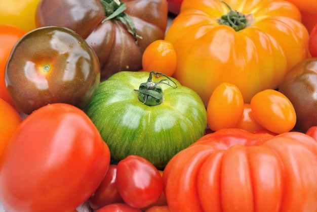 Background of colorful tomatoes 