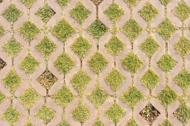 Background of concrete block walkway with green grass