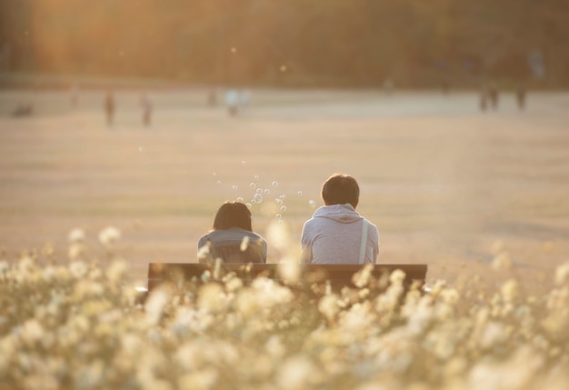 Background of couple and beautiful white cosmos field with the warm sunlight in Japan.