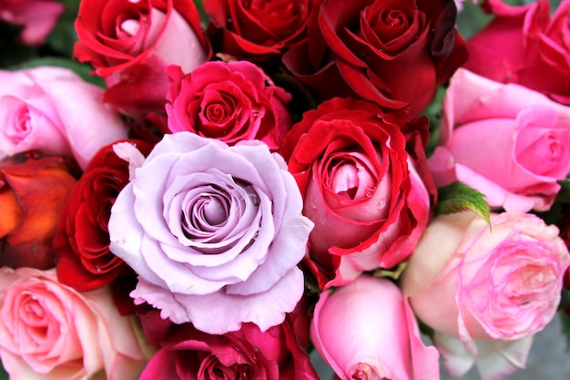 Background desktop wallpaper, red and pink roses