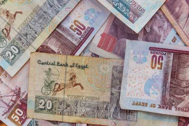 Background of different egyptian pounds banknotes Egyptian currency