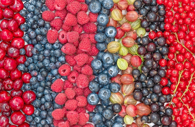 Background of different summer berries