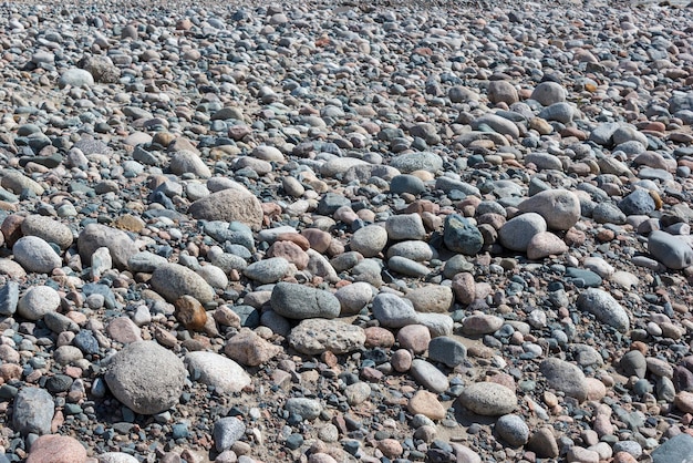 Background of dried stony soil Arid area