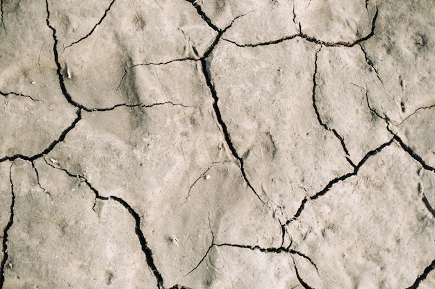 Background of dry cracked ground, top view.