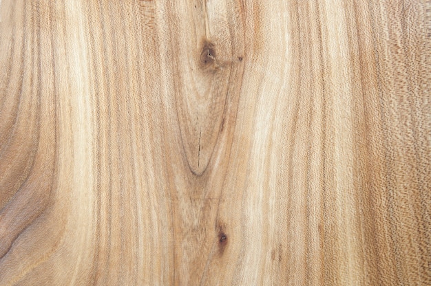 Background elm tree texture with vertical lines