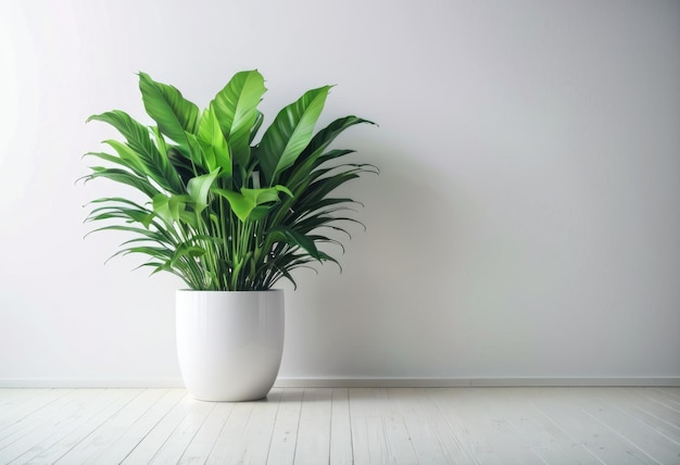 A background featuring green plants in a white living room interior with a white wall