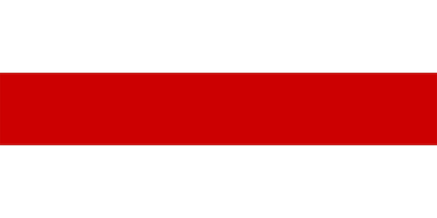 Background of the flag of free Belarus Illustration Texture