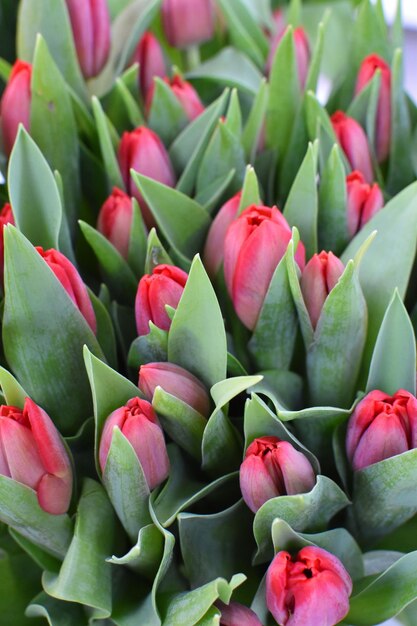 Background flowers tulips fresh blooming spring flowers in shop for sale