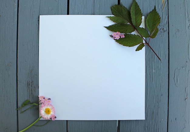 background flowers on white paper