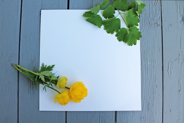 background flowers on white paper