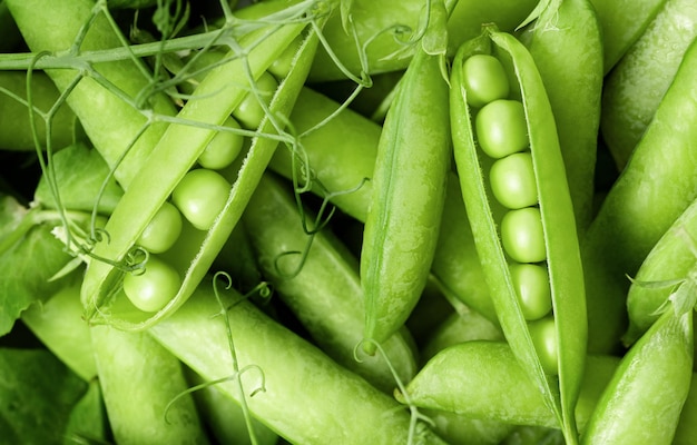 Background of fresh green pea pods